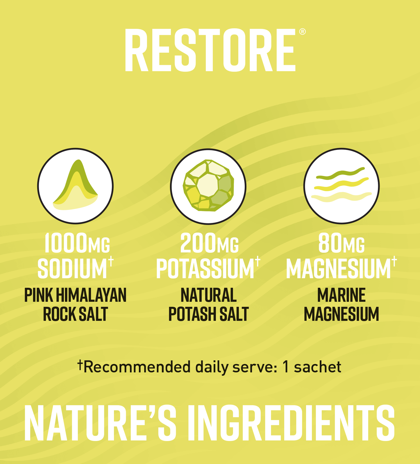 Legacy Lemon & Lime Restore All Natural Daily Electrolytes