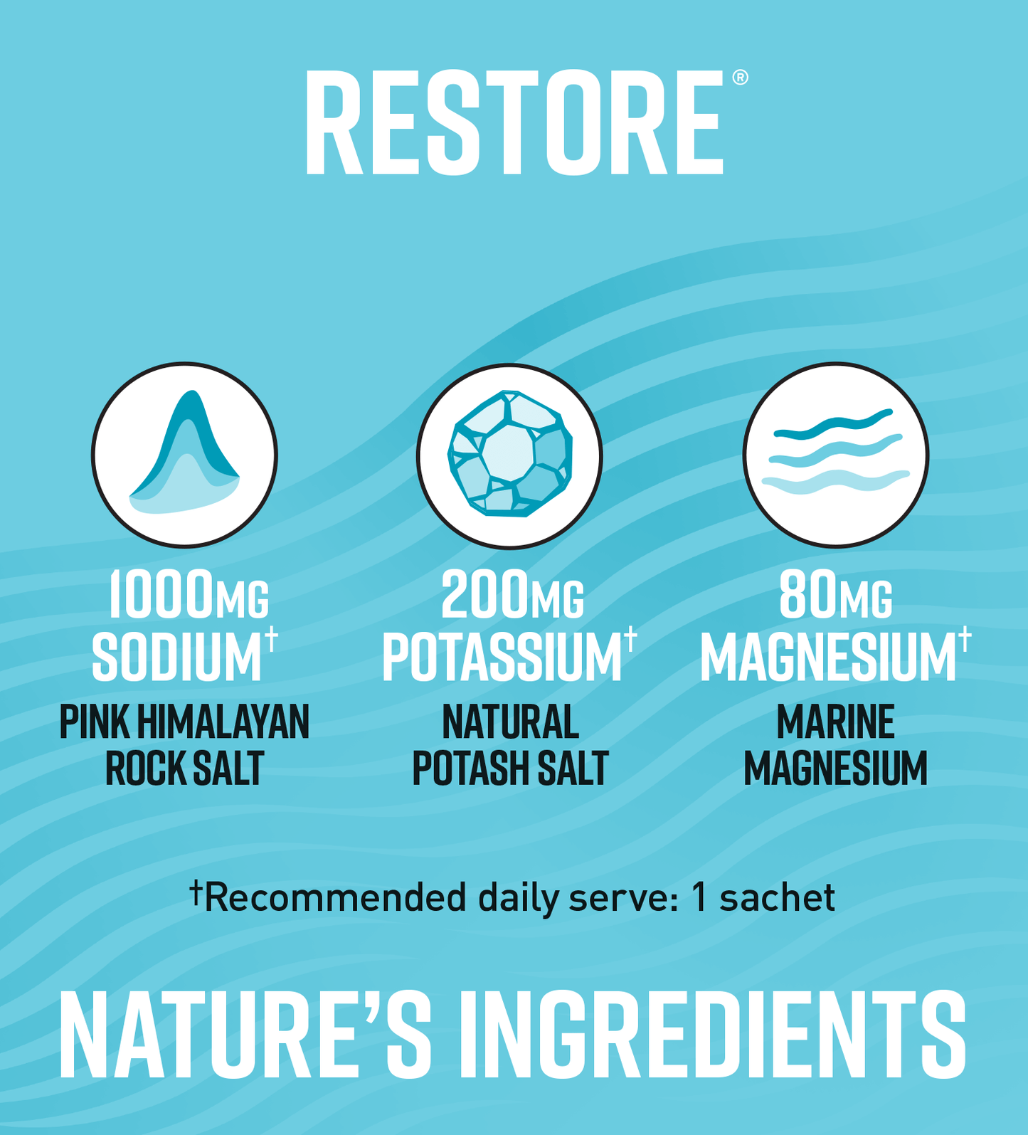 Legacy Restore All Natural Daily Electrolytes Multipack