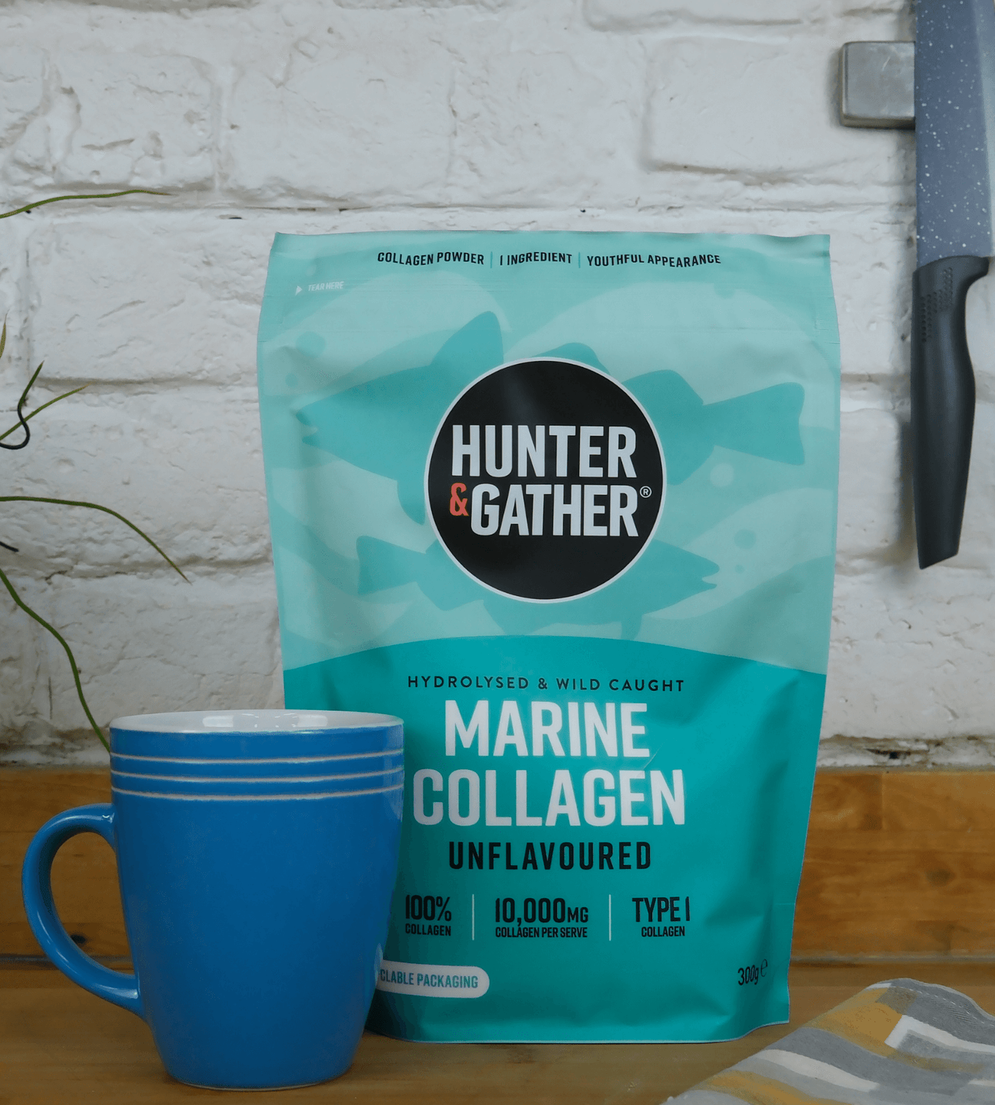 Marine Collagen Powder